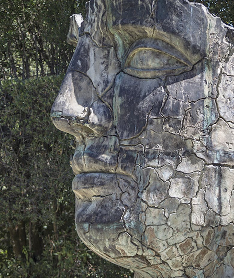 Tindaro screpolato Tindaro screpolato